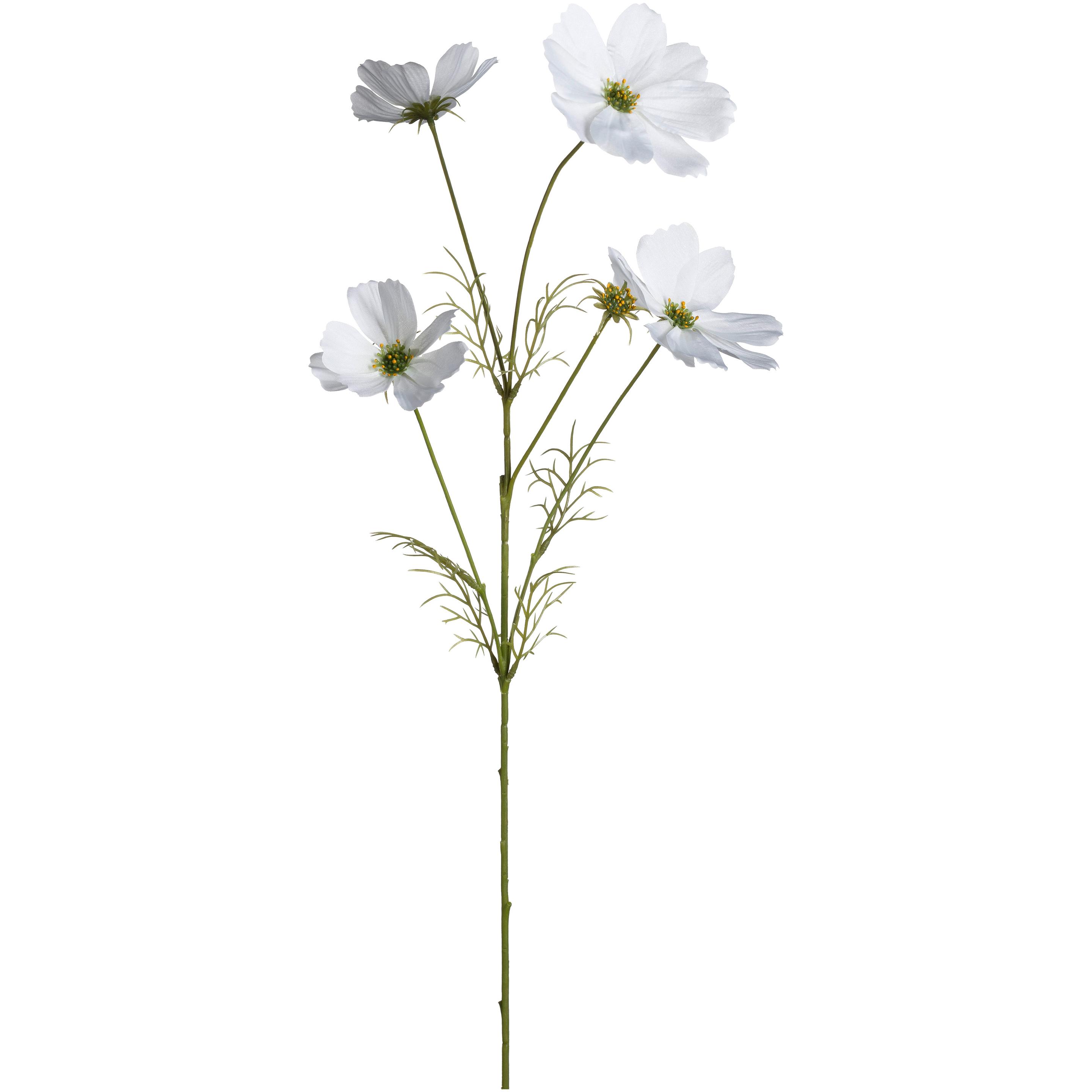 LEONARDO Cosmea Kunstblume