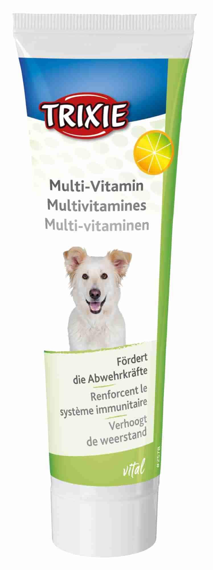 Trixie Multi-Vitamin-Paste 100 g Nahrungsergänzung für Hunde