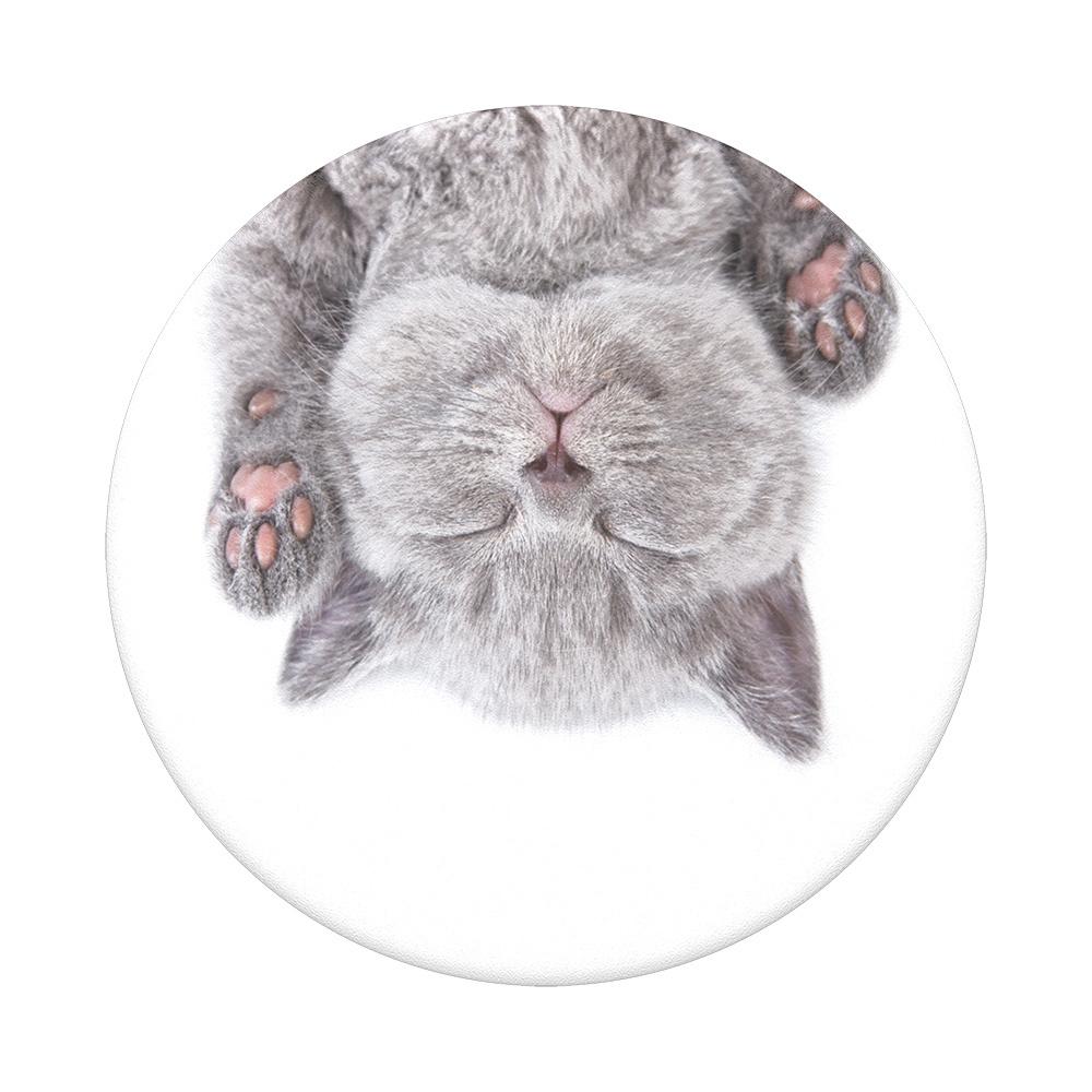PopGrip - ausziehbarer Handy-Griff Handyhalter -  Cat Nap